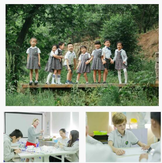青苗国际双语学校竞争力