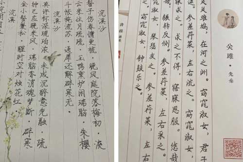 爱迪学校