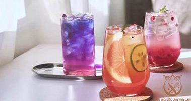 创业指导