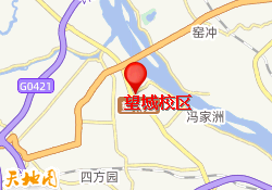 望城校区