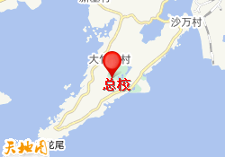 总校