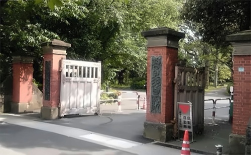 中育贝拉日语学部Offer