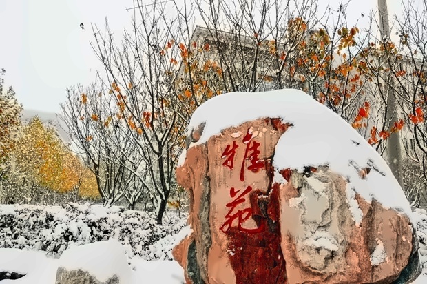 河南财经政法大学—校园雪景
