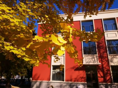 东北大学OSSD国际教育中心校园环境