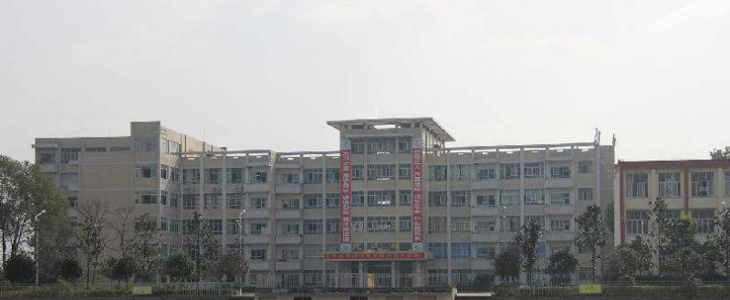 龙2