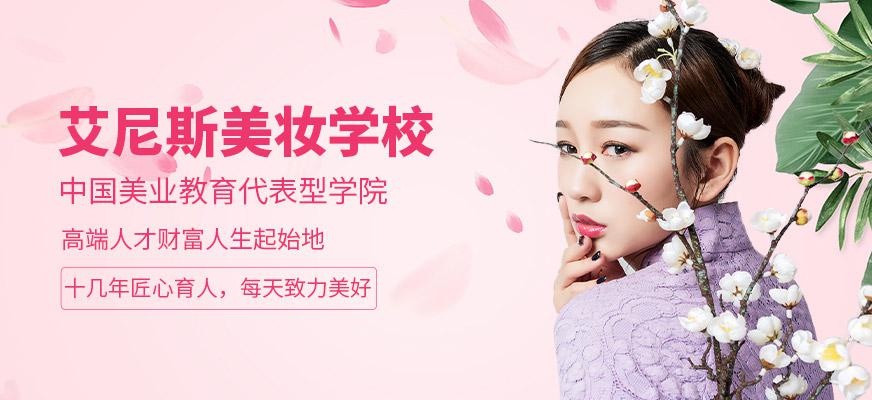 艾尼斯学校
