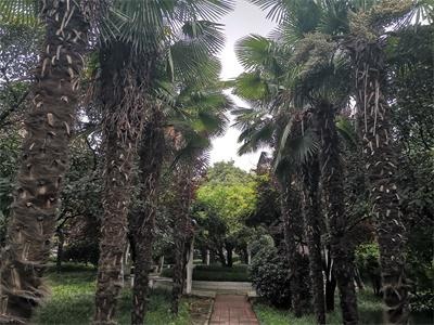 河南财大国际预科预备项目