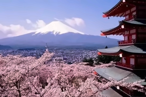 重镑 │中育贝拉日本国际高中可以直录日本大学本科了！