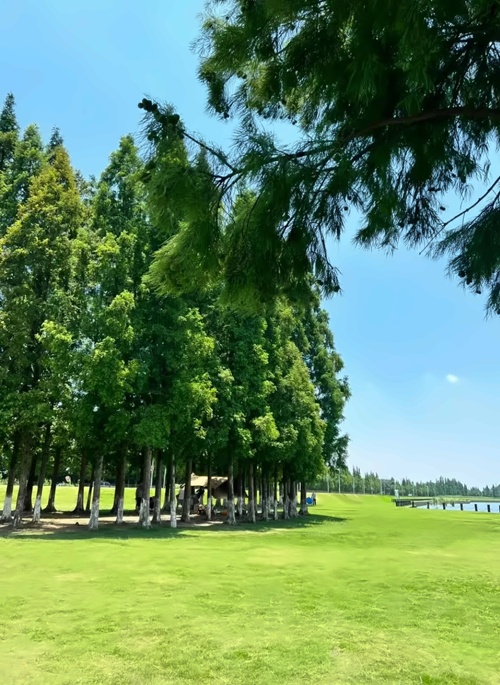 风景