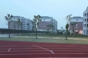 上海金山区枫叶学校校园一角