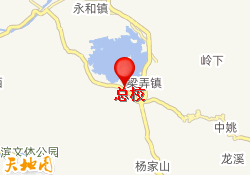 总校