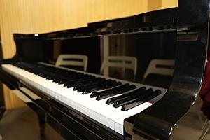 上海美达菲学校钢琴教室