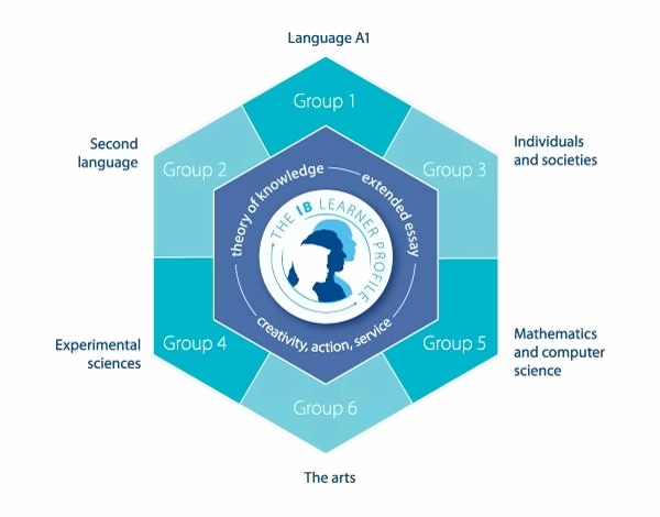 IB Diploma Programme Diagram