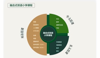 小学课程.jpg