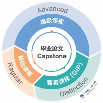 WLSA上海学校A-Level课程设置.jpg