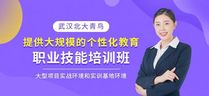 武汉北大青鸟