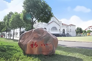 太仓市华顿外国语学校香港DSE课程招生简章