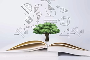 北京师范大学亚太实验学校国际班