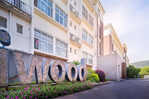 苏州工业园区外国语学校A-Level艺术高中课程招生简章