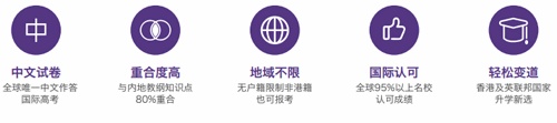 新华艺术高级中学香港DSE课程特点