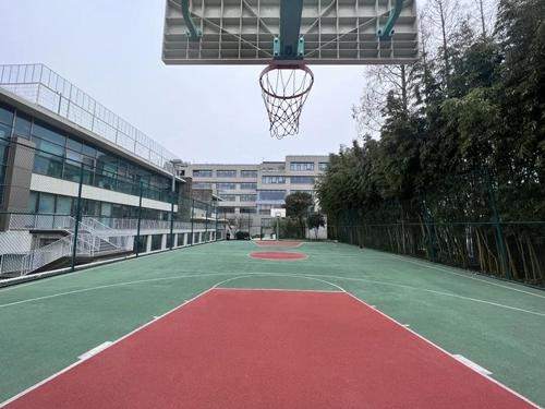 上海德英乐学院分享:上海德英乐丰富的体育活动,帮助学生塑造强健体魄