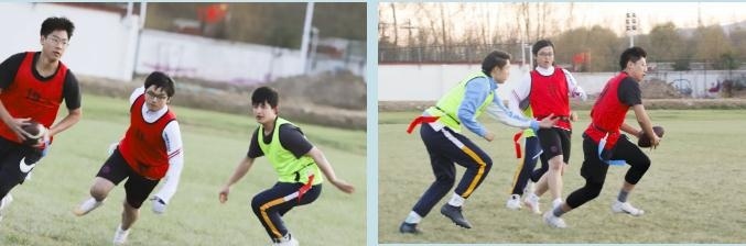 北京新东方国际双语学校