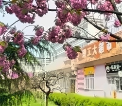 青岛理工大学的超市