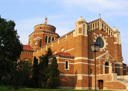 麦当娜大学