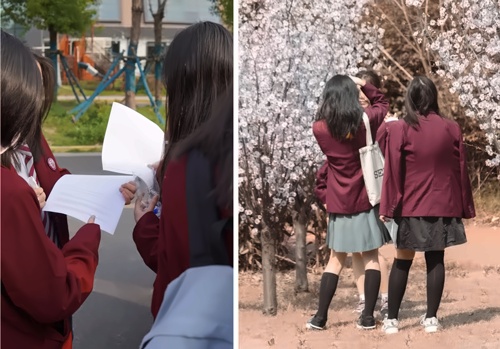 上海励滕field-trips游学.jpg