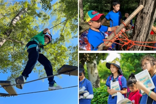 鼎石小学