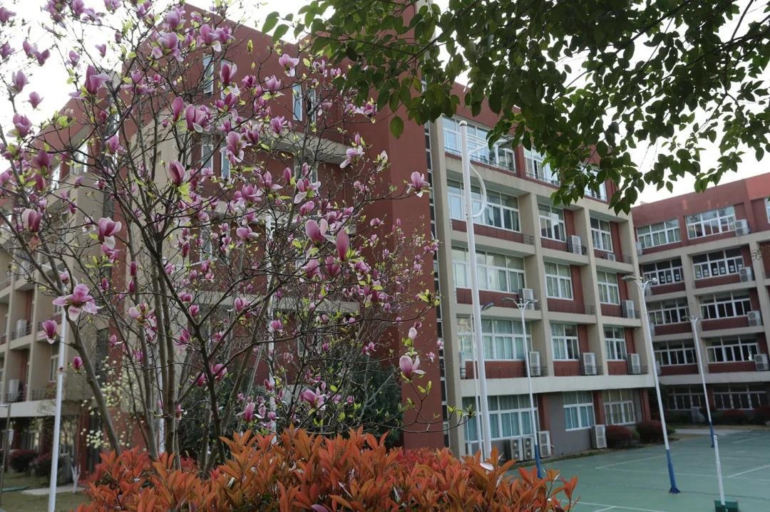 句容碧桂园学校校园春景.jpg