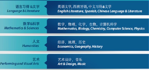 协和浦东三林校区课程设置.jpg