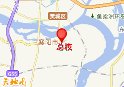 总校