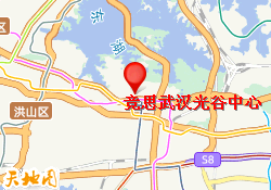 竞思武汉光谷中心