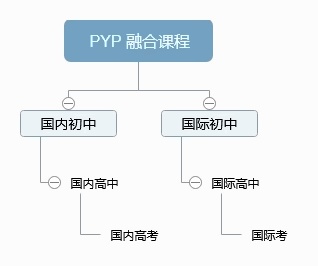PYP融合课程.jpg
