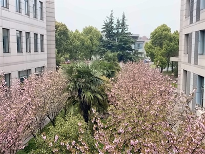 千羽鹤日韩国际课程中心校园环境