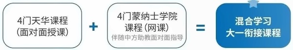 英澳美中澳**共同授课的独特模式学生将同时获得中西方教学的双重体验.jpg