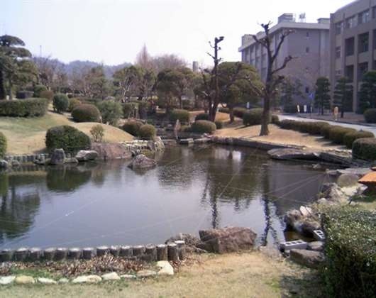 山口大学