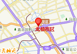 龙柏校区
