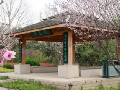 河南科技大学附属高级中学