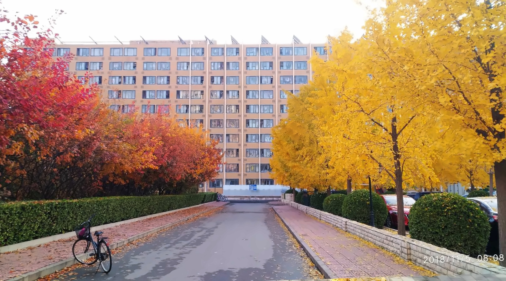 对外经济贸易大学