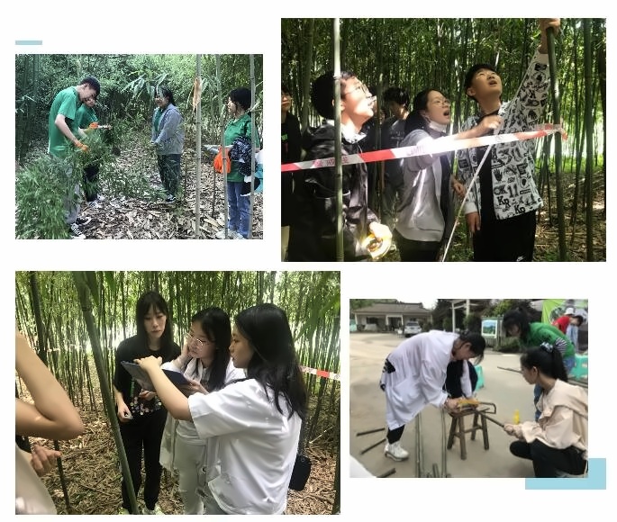 中育贝拉国际高中