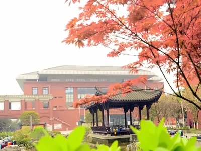 成都七中万达学校国际部学校环境