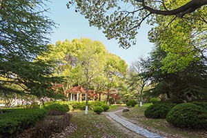 上海成才教育学院韩国班招生简章
