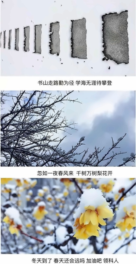 上海下雪了 和領(lǐng)科國際高中一起白了頭