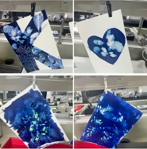 作品展示