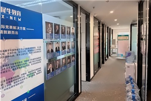 犀牛国际教育Alevel课程辅导招生简章