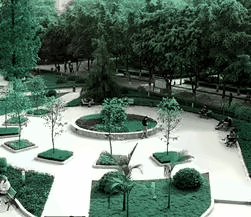 四川外国语大学绿色校园