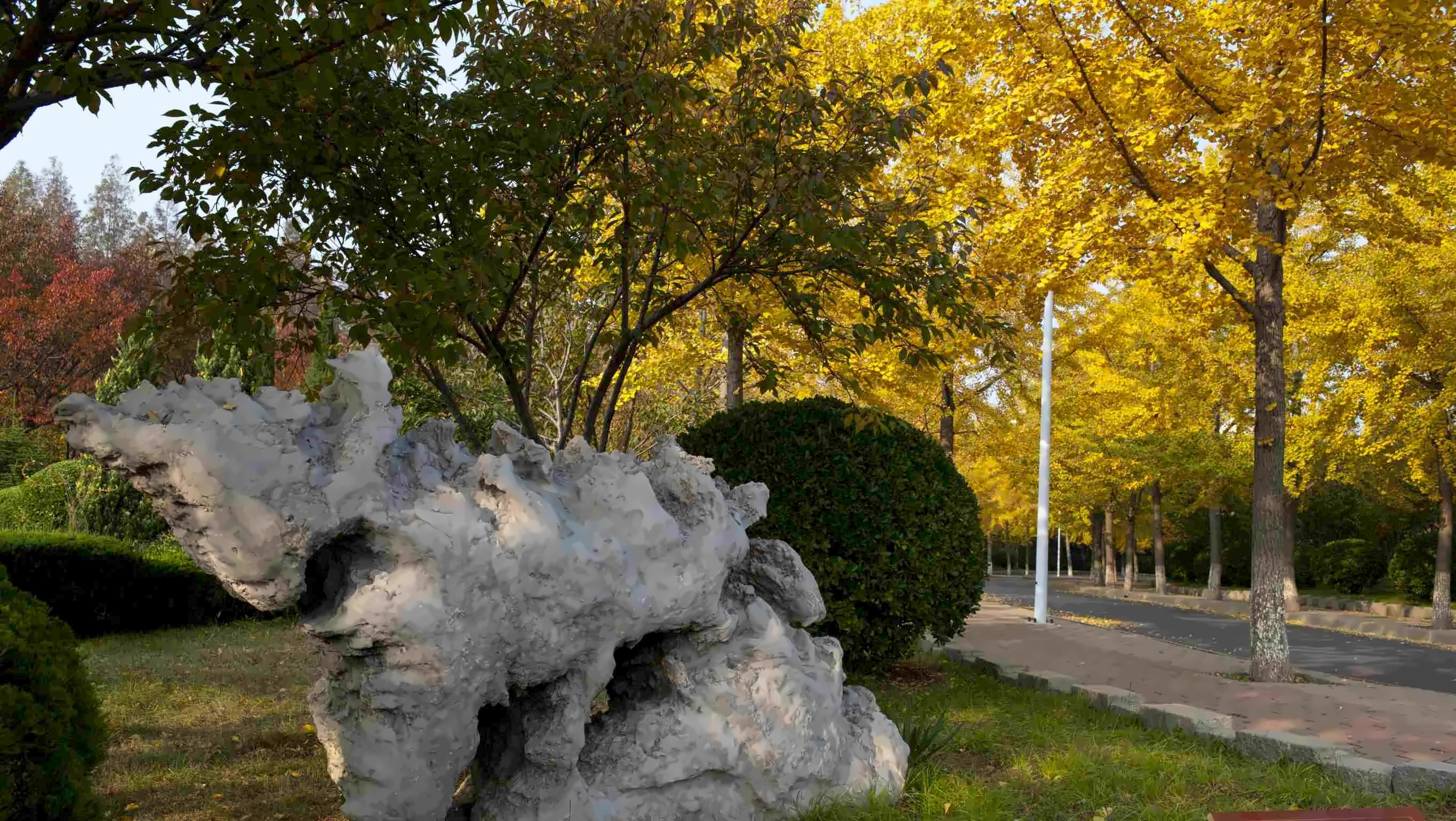 东北财经大学