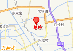 总校